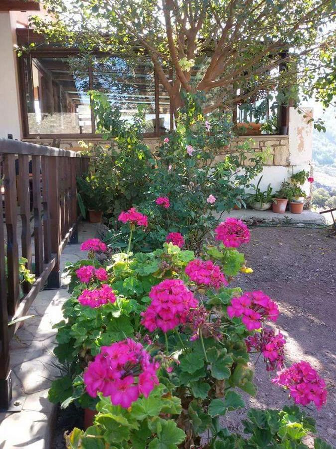 Prastio  Extreme View Cafe And Rooms To Let מראה חיצוני תמונה